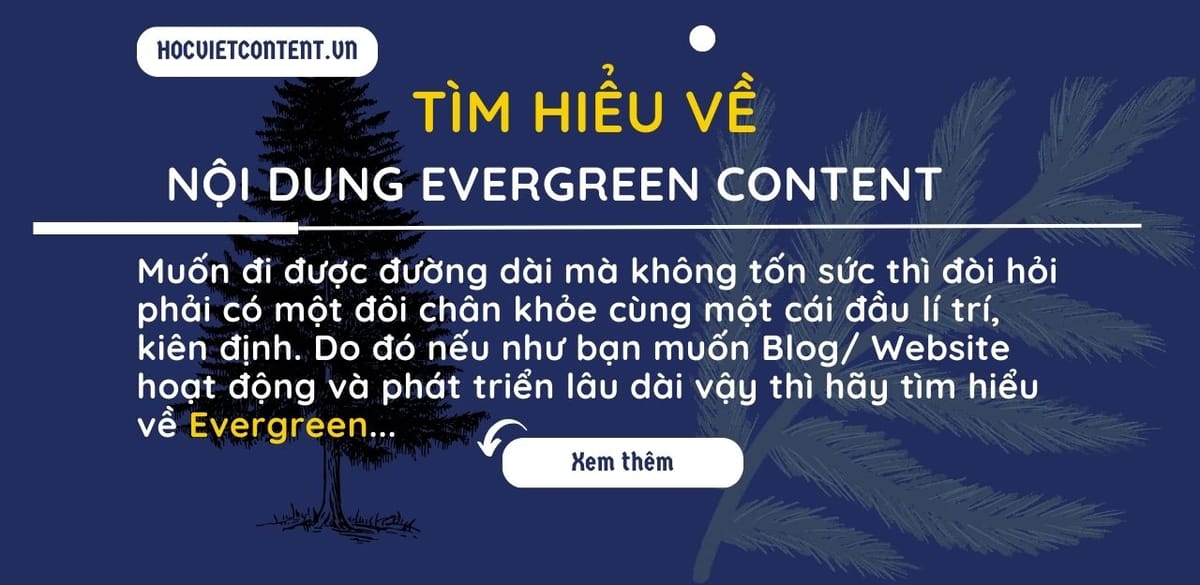 Luận bàn về Evergreen content - Nội dung "Thường xanh"